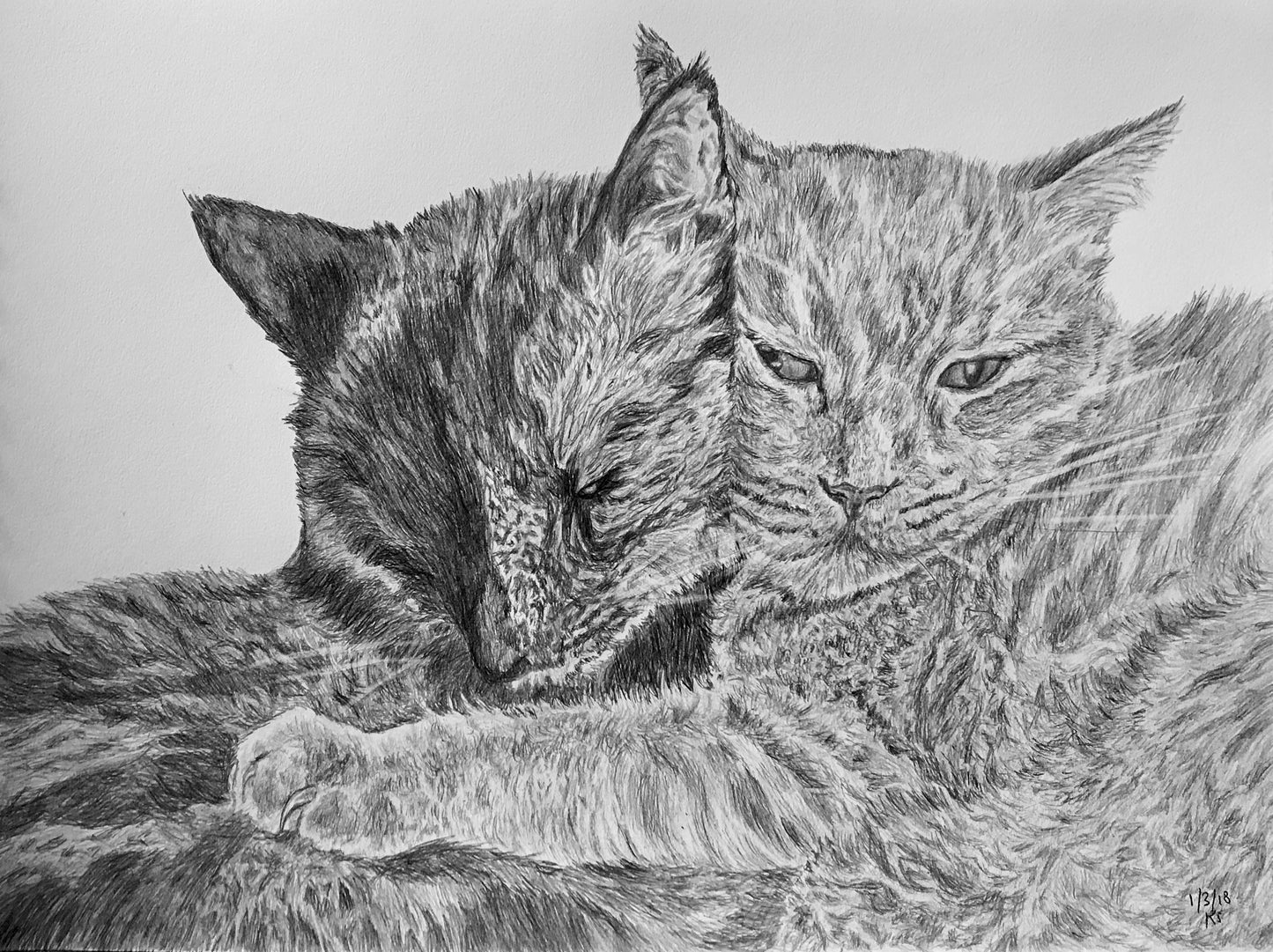 Sapphire & Tori