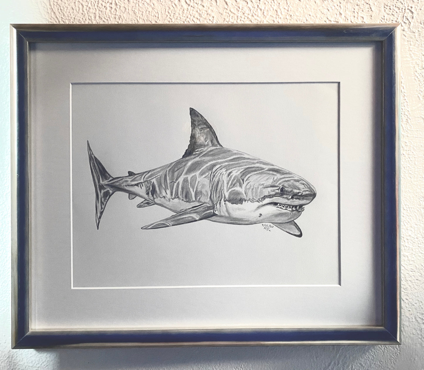 Shark!