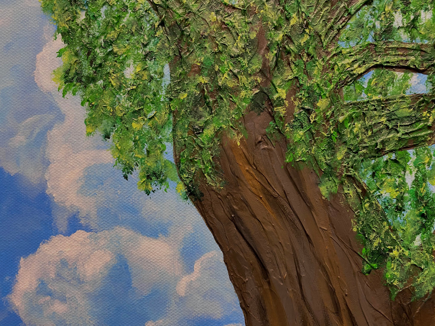 The Peace & Harmony In Nature
