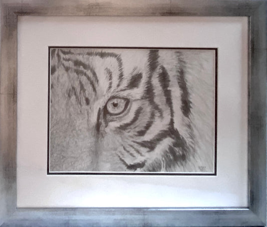 Tiger's Eye