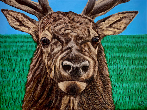A Dream Of The Elk