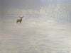 A Gentle & Graceful Messenger