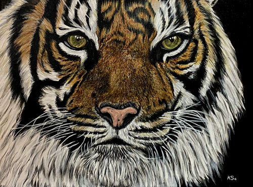 A Tiger's Soul