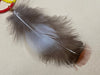 Medicine Wheel & Pheasant Feather Earrings