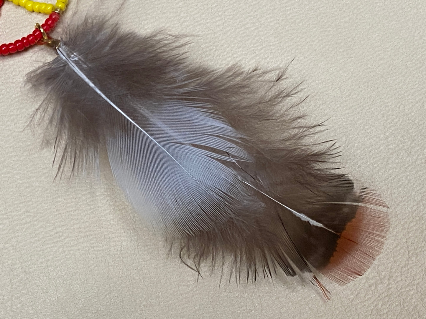 Medicine Wheel & Pheasant Feather Earrings
