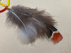 Medicine Wheel & Pheasant Feather Earrings