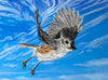 Let Your Hopes & Dreams Take Flight