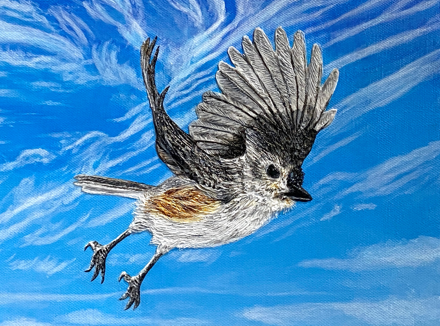 Let Your Hopes & Dreams Take Flight