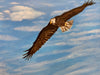 Messengers Of Strength & Hope