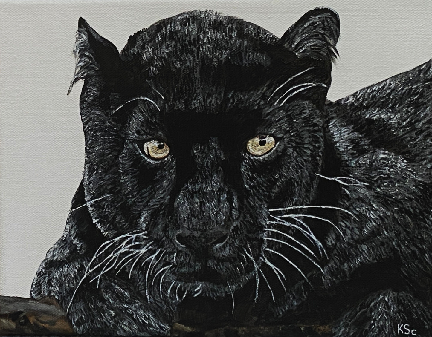 Panther's Stare