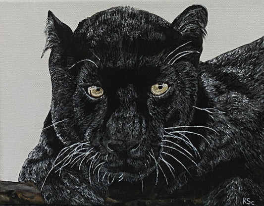 Panther's Stare
