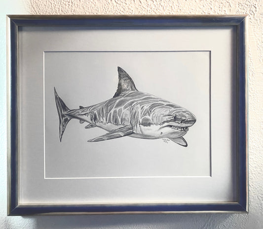 Shark!