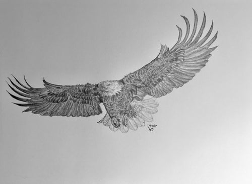Soaring Eagle