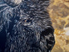 The Blessings Of Tatanka