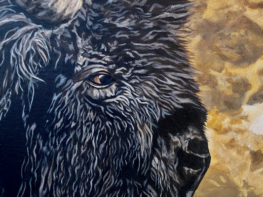 The Blessings Of Tatanka