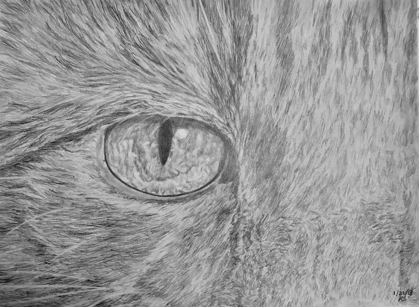 The Eye Of Tori