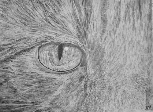 The Eye Of Tori