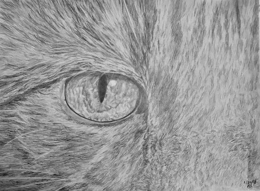 The Eye Of Tori