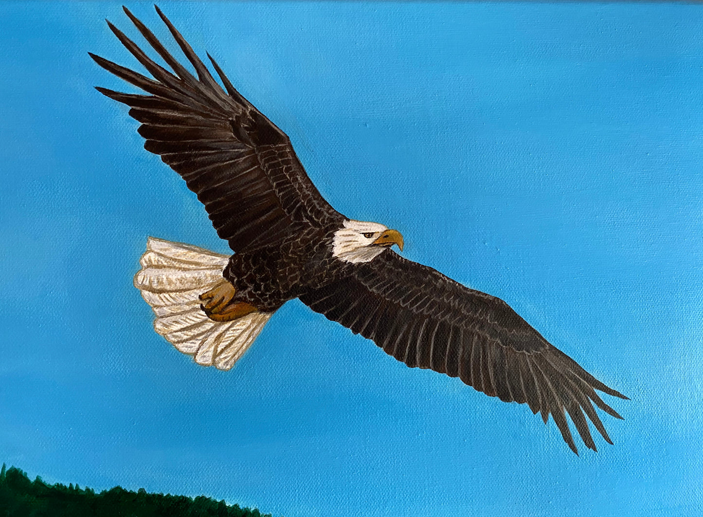 The Joy & Beauty In The Freedom Of Nature