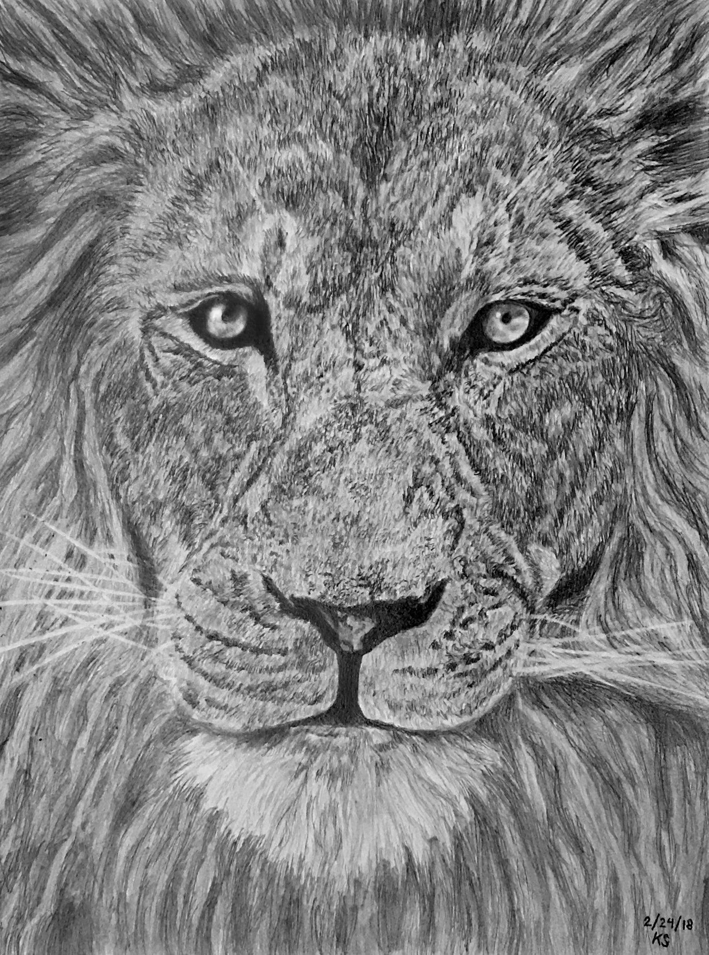 The Soul Of A Lion