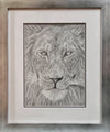 The Soul Of A Lion