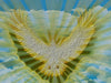 The Power Of The Light Within