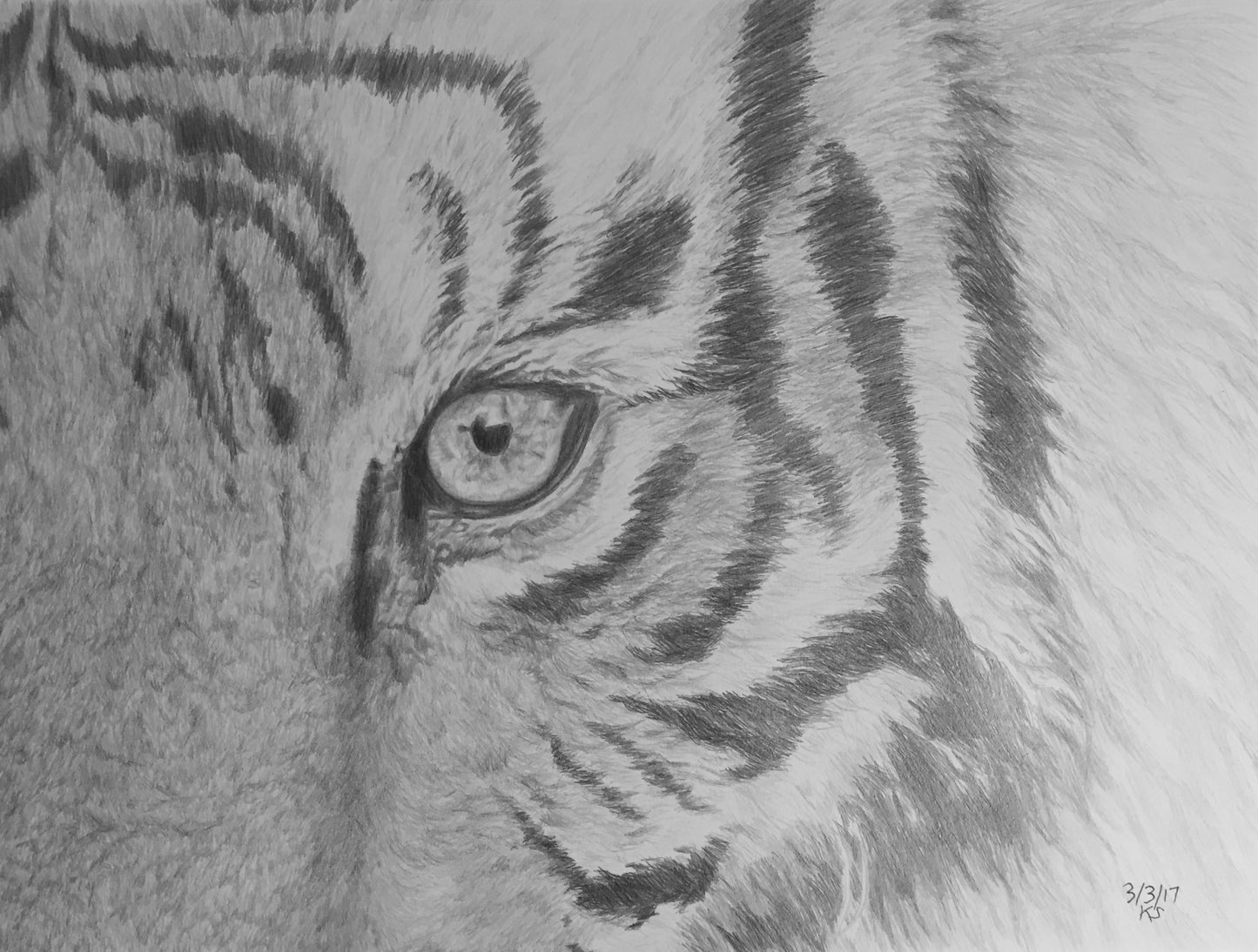 Tiger's Eye