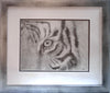 Tiger's Eye